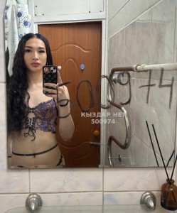 Транс Алматы Транс№500974 Милана Фотография №3769556