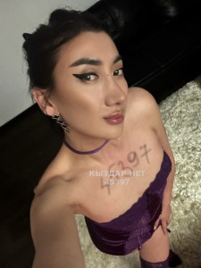 Транс Алматы Транс№45397 Дуэт Фотография №3922462